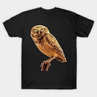 owl T-Shirt